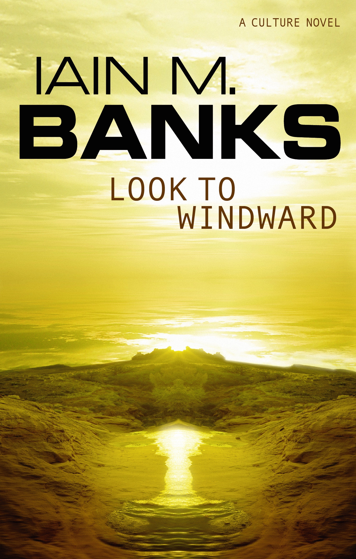 Look to Windward: book cover